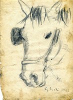 /album/galleria-fotografica/img495-jpg/