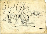 /album/galleria-fotografica/img490-jpg/